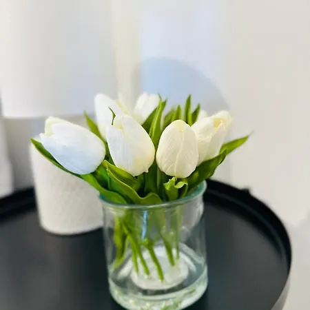 New Flat Lisbon, Close To Attractions Lejlighed Lisboa
