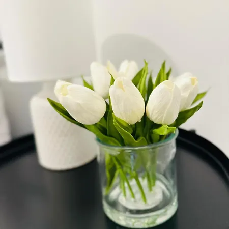 New Flat Lisbon, Close To Attractions * Lisboa